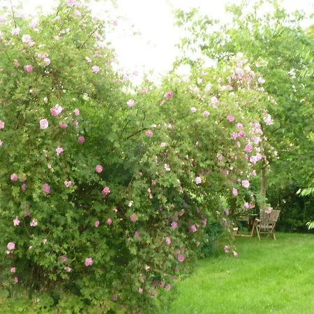 Апартаменты Gutshaus Altbauhof