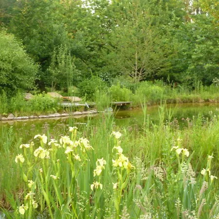 Gutshaus Altbauhof アパート