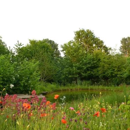 Gutshaus Altbauhof アパート Dargun