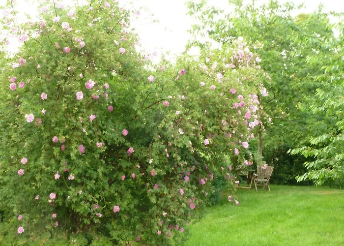 아파트 Gutshaus Altbauhof