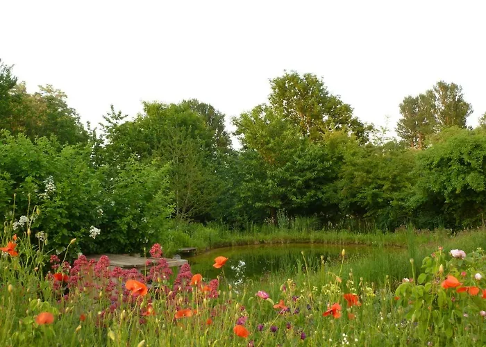 Gutshaus Altbauhof 아파트 다르군